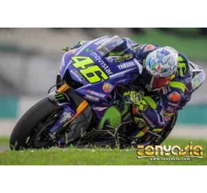 Marc Marquez Ingin Saingi Pembalap Tim Movistar Yamaha Valentino Rossi | Sabung Ayam | Judi Sabung Ayam