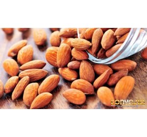 Manfaat Almond Sebagai Cemilan Sehat | Sabung Ayam | Sabung Ayam Online