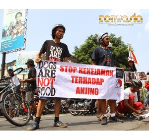 STOP !!! KEKEJAMAN TERHADAP ANJING | Sabung Ayam | Judi Sabung Ayam 