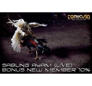 Cara Taruhan Mulai dari Nominal Terkecil Dalam Game | Sabung Ayam Online | Bandar Judi Sabung Ayam