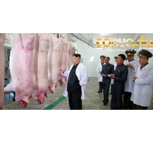 Setelah Mengancam AS, Kim Jong-un Malah Melakukan Inspeksi Ke Peternakan Babi | BANDAR JUDI SABUNG AYAM | SABUNG AYAM ONLINE